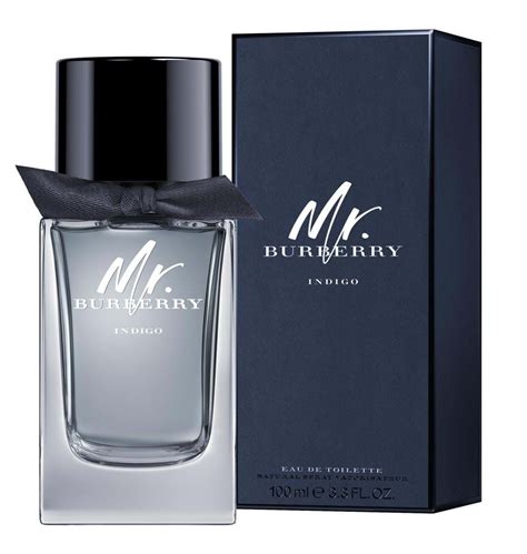 men mr burberry cologne|mr Burberry indigo fragrantica.